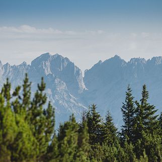 Landschaft Brixental